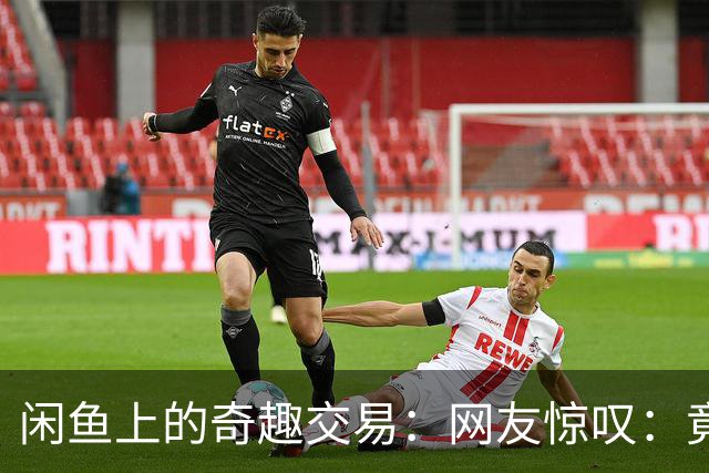 闲鱼上的奇趣交易：网友惊叹：竟然有人把学校卖了！